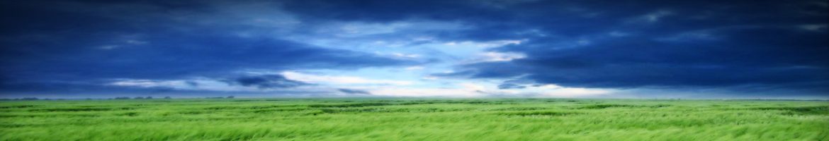 cropped-clouds-and-grass-header.jpg